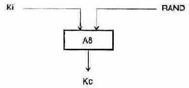 ���� ����������